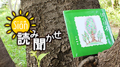 ぼくは木サムネイル