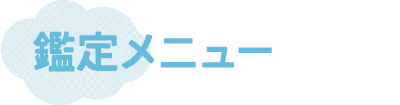 鑑定メニュー