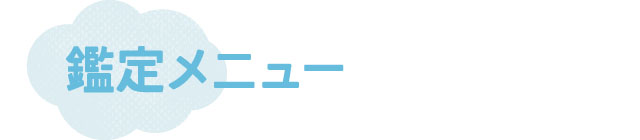 鑑定メニュー